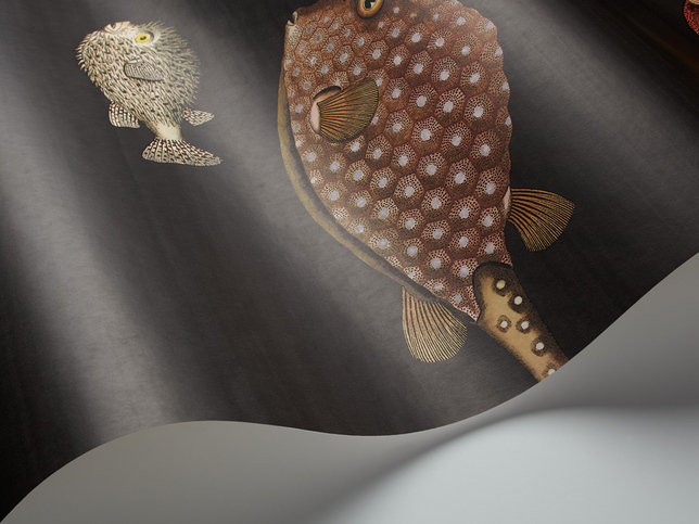 Acquario Wallcovering by Cole & Son 