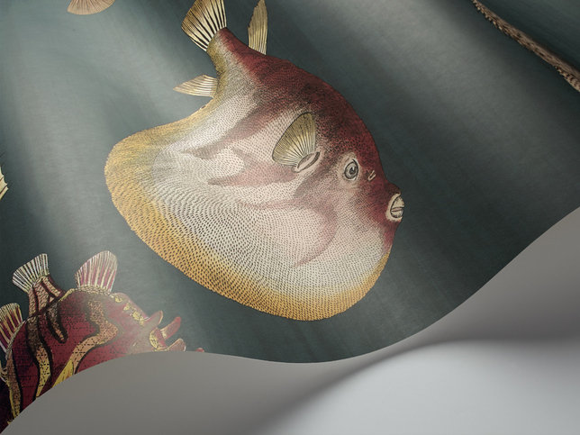 Acquario Wallcovering by Cole & Son 