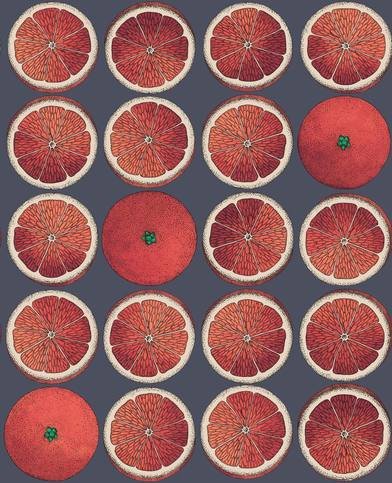 Arance Wallcovering by Cole & Son 