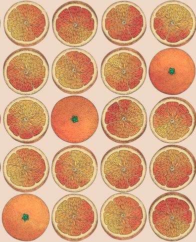 Arance Wallcovering by Cole & Son 