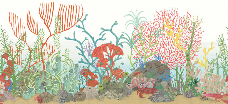 Archipelago Border Wallcovering by Cole & Son 