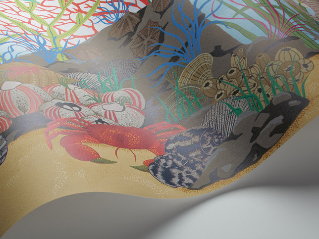 Archipelago Border Wallcovering by Cole & Son 