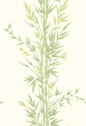 Bamboo Wallcovering by Cole & Son 