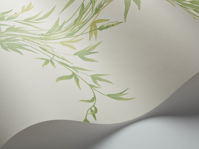 Bamboo Wallcovering by Cole & Son 