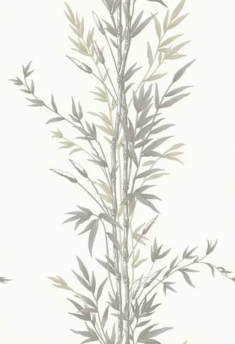Bamboo Wallcovering by Cole & Son 