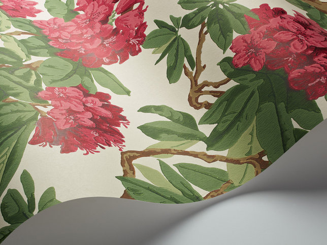 Bourlie Wallcovering by Cole & Son 