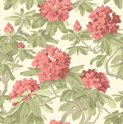 Bourlie Wallcovering by Cole & Son 