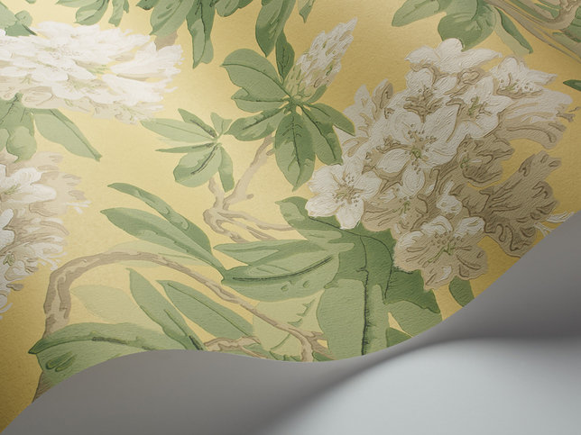 Bourlie Wallcovering by Cole & Son 