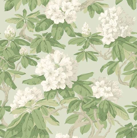 Bourlie Wallcovering by Cole & Son 
