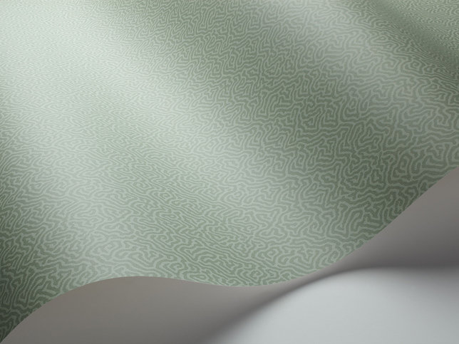 Coral Wallcovering by Cole & Son 