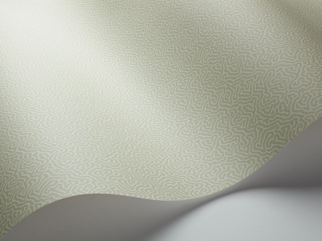 Coral Wallcovering by Cole & Son 