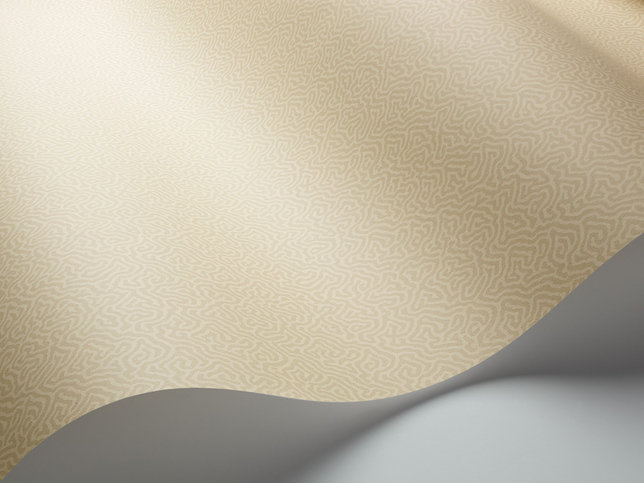 Coral Wallcovering by Cole & Son 