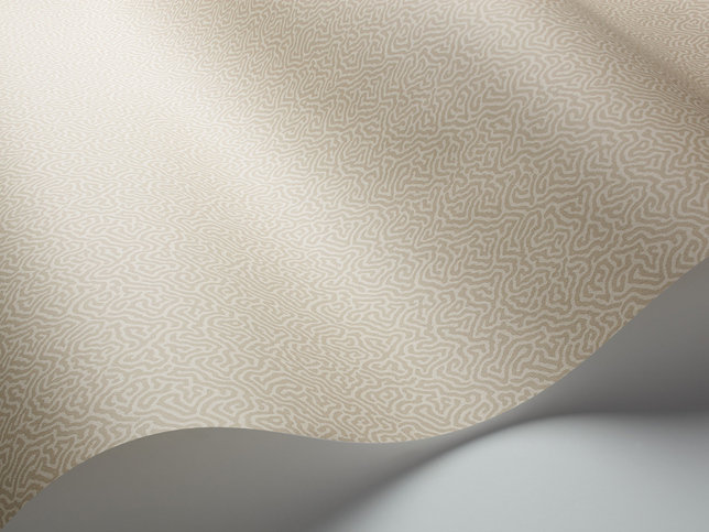 Coral Wallcovering by Cole & Son 