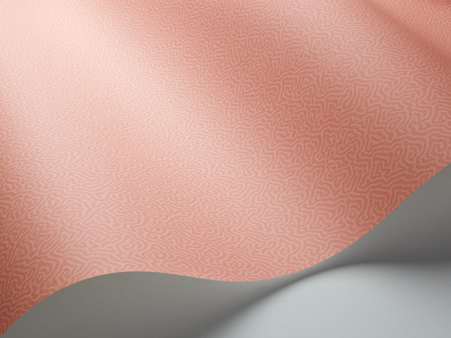 Coral Wallcovering by Cole & Son 