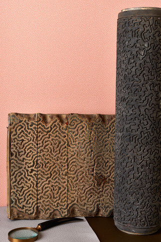 Coral Wallcovering by Cole & Son 