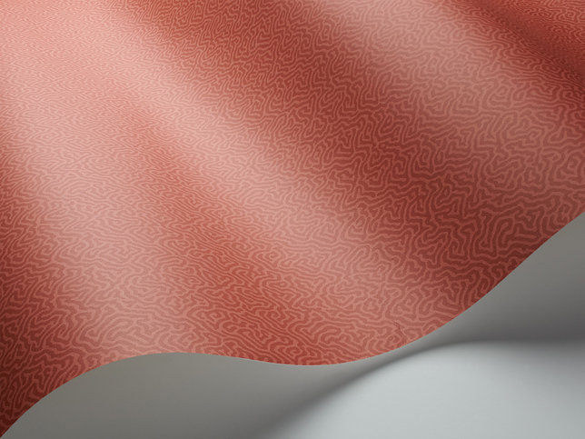Coral Wallcovering by Cole & Son 