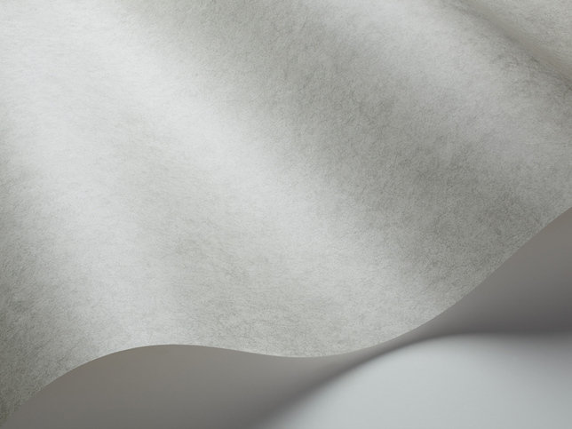 Cordovan Wallcovering by Cole & Son 