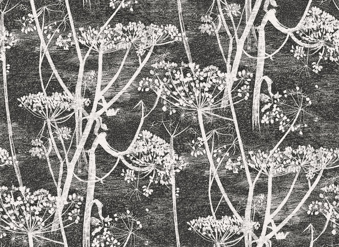 Cow Parsley Wallcovering by Cole & Son 