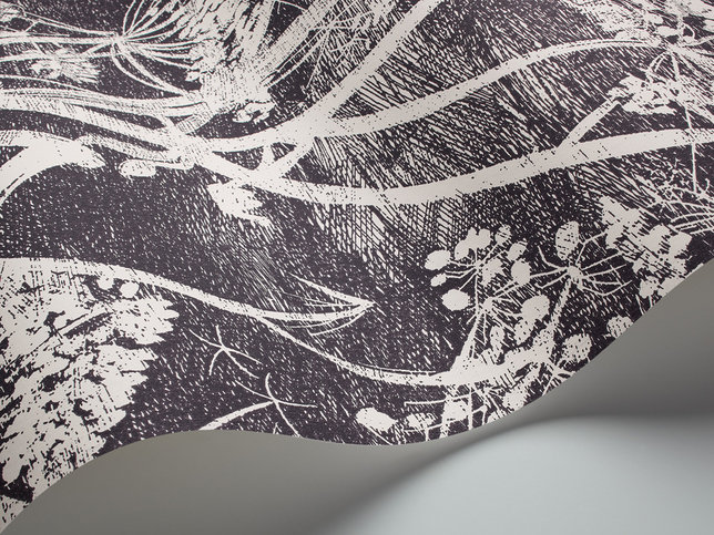 Cow Parsley Wallcovering by Cole & Son 