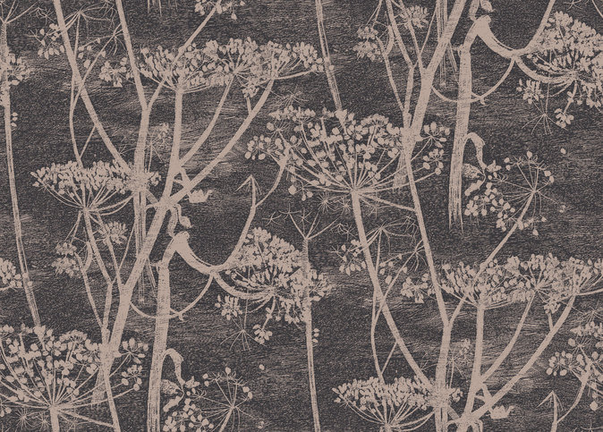 Cow Parsley Wallcovering by Cole & Son 