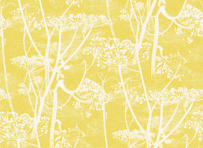 Cow Parsley Wallcovering by Cole & Son 
