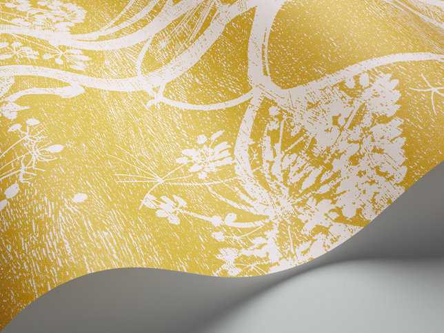 Cow Parsley Wallcovering by Cole & Son 
