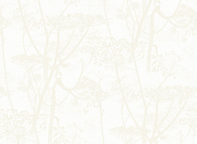 Cow Parsley Wallcovering by Cole & Son 