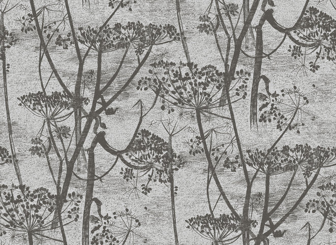 Cow Parsley Wallcovering by Cole & Son 
