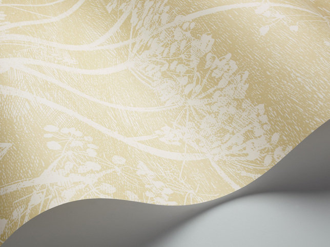 Cow Parsley Wallcovering by Cole & Son 