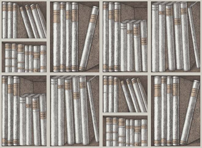 Ex Libris Wallcovering by Cole & Son 