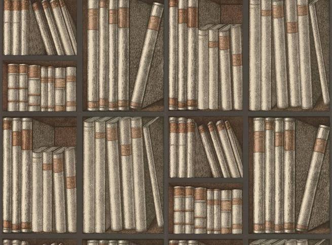 Ex Libris Wallcovering by Cole & Son 