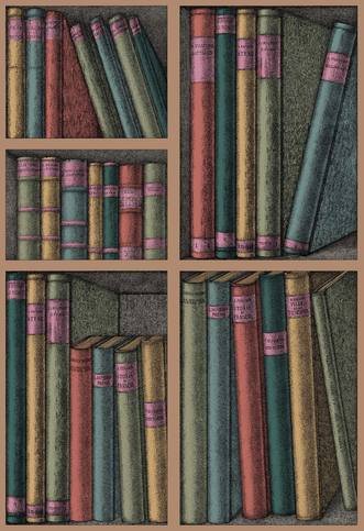 Ex Libris Wallcovering by Cole & Son 