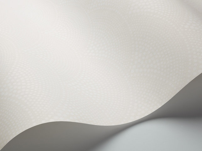 Feather Fan Wallcovering by Cole & Son 