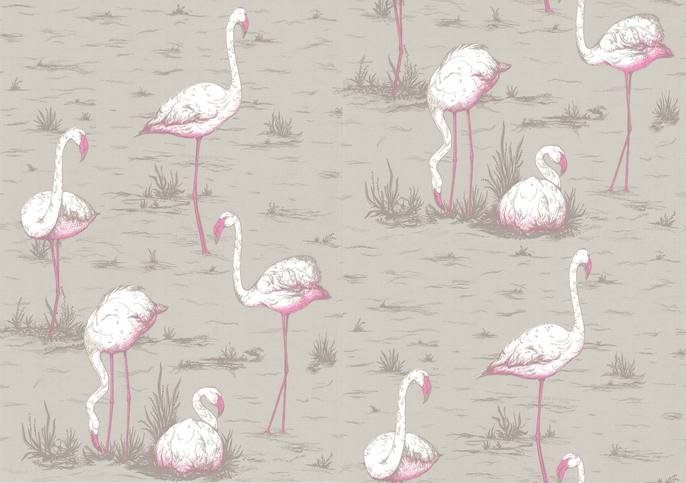 Flamingos Wallcovering by Cole & Son 