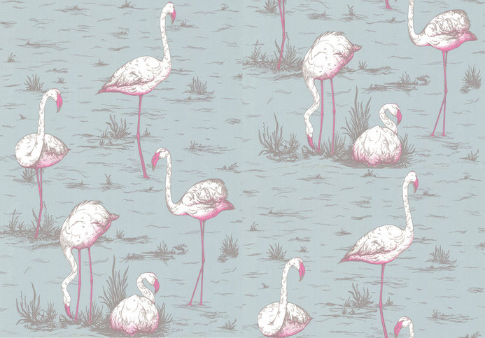 Flamingos Wallcovering by Cole & Son 