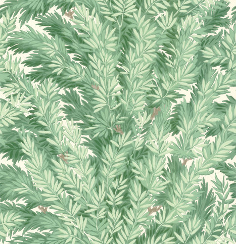 Florencecourt Wallcovering by Cole & Son 