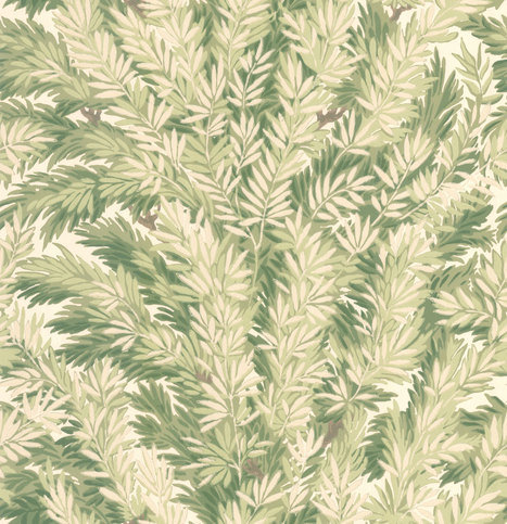 Florencecourt Wallcovering by Cole & Son 