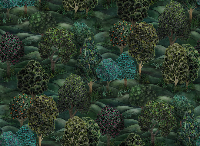 Forest Wallcovering by Cole & Son 
