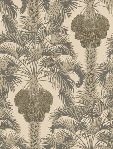 Hollywood Palm Wallcovering by Cole & Son 