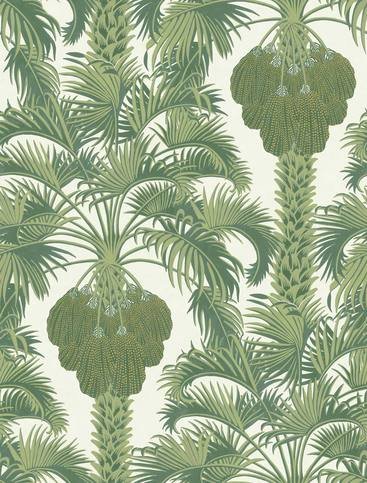 Hollywood Palm Wallcovering by Cole & Son 