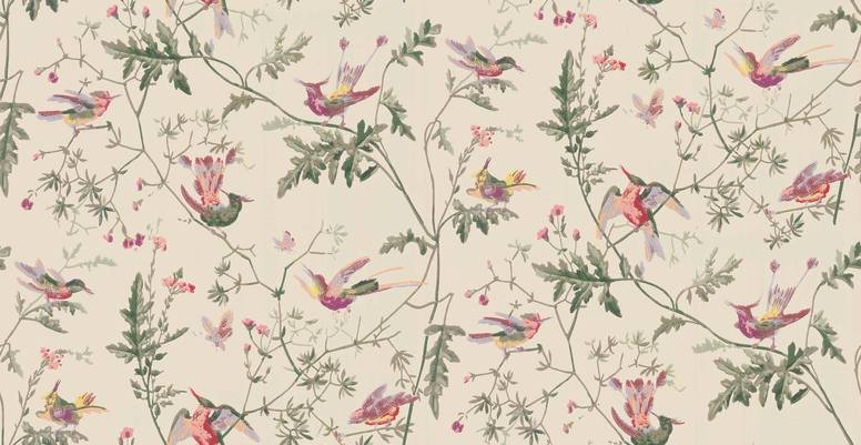 Hummingbirds Wallcovering by Cole & Son 