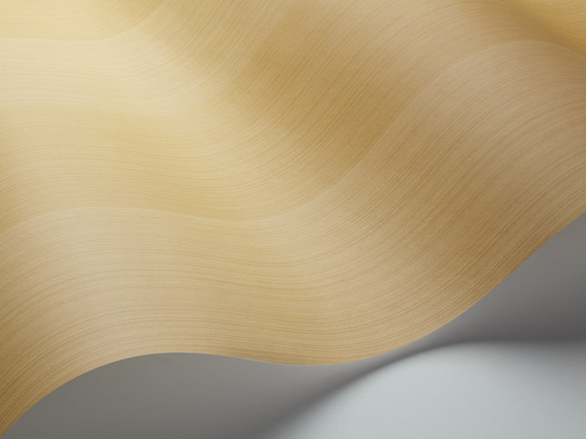 Jaspe Stripe Wallcovering by Cole and Son