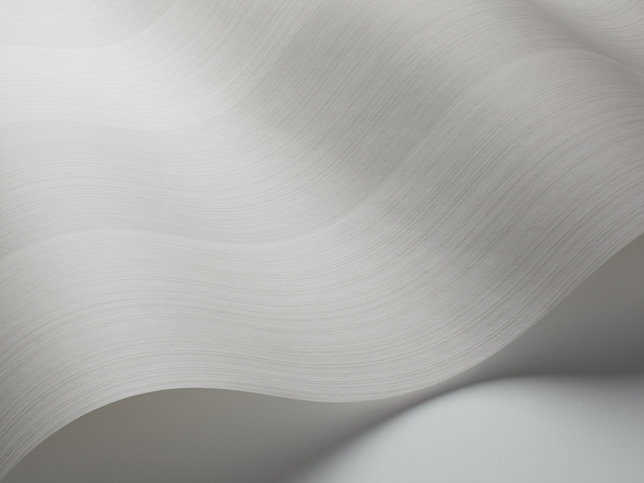 Jaspe Stripe Wallcovering by Cole and Son