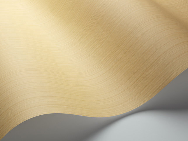 Jaspe Wallcovering by Cole & Son 
