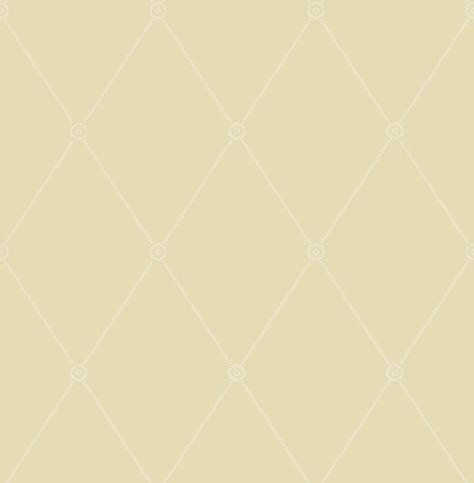 Large Georgian Rope Trellis Wallcovering by Cole & Son 