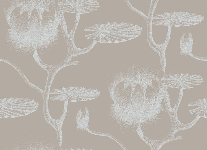 Lily Wallcovering by Cole & Son 