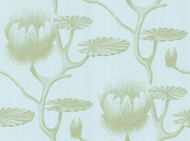Lily Wallcovering by Cole & Son 