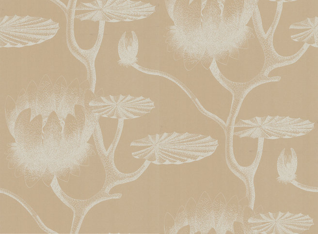 Lily Wallcovering by Cole & Son 