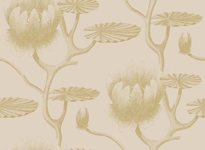 Lily Wallcovering by Cole & Son 