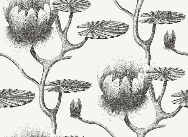 Lily Wallcovering by Cole & Son 